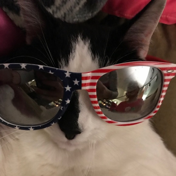 Meet your Posher, Sara - Picture 1 of 1